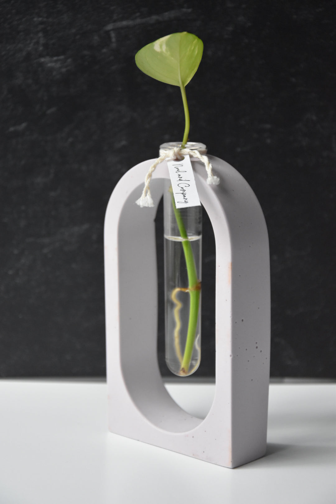 Propagation Stations