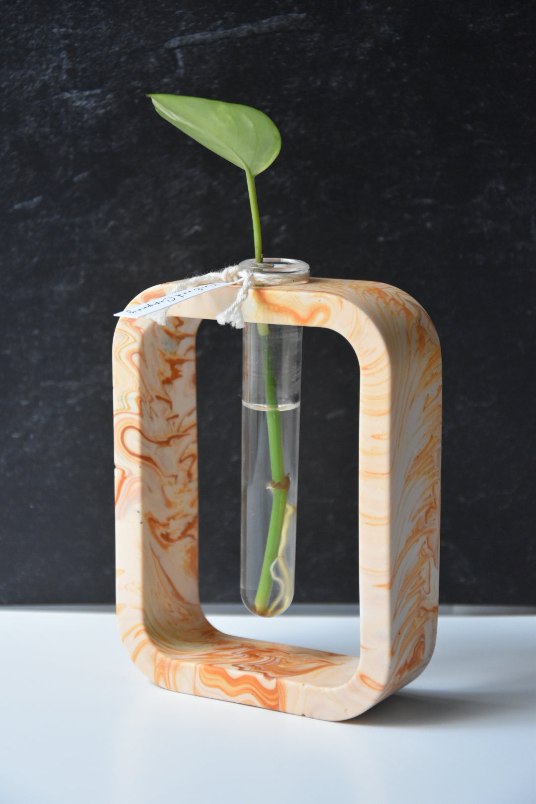 Propagation Stations