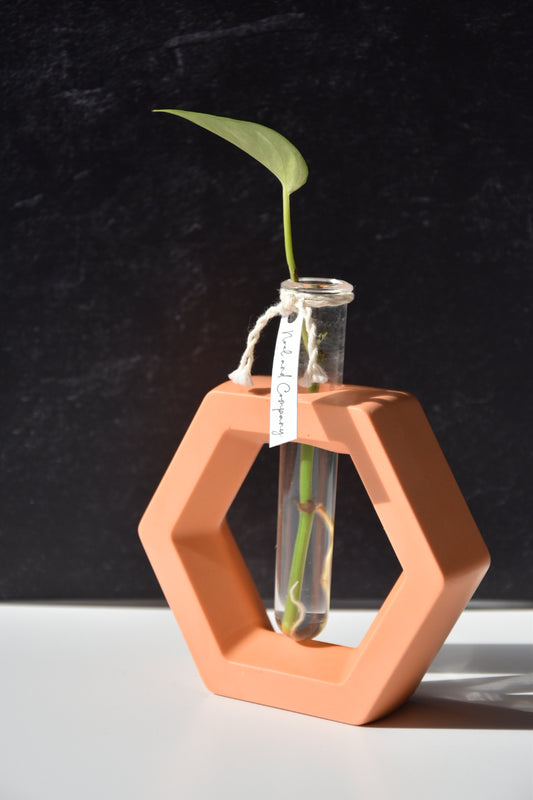 Propagation Stations