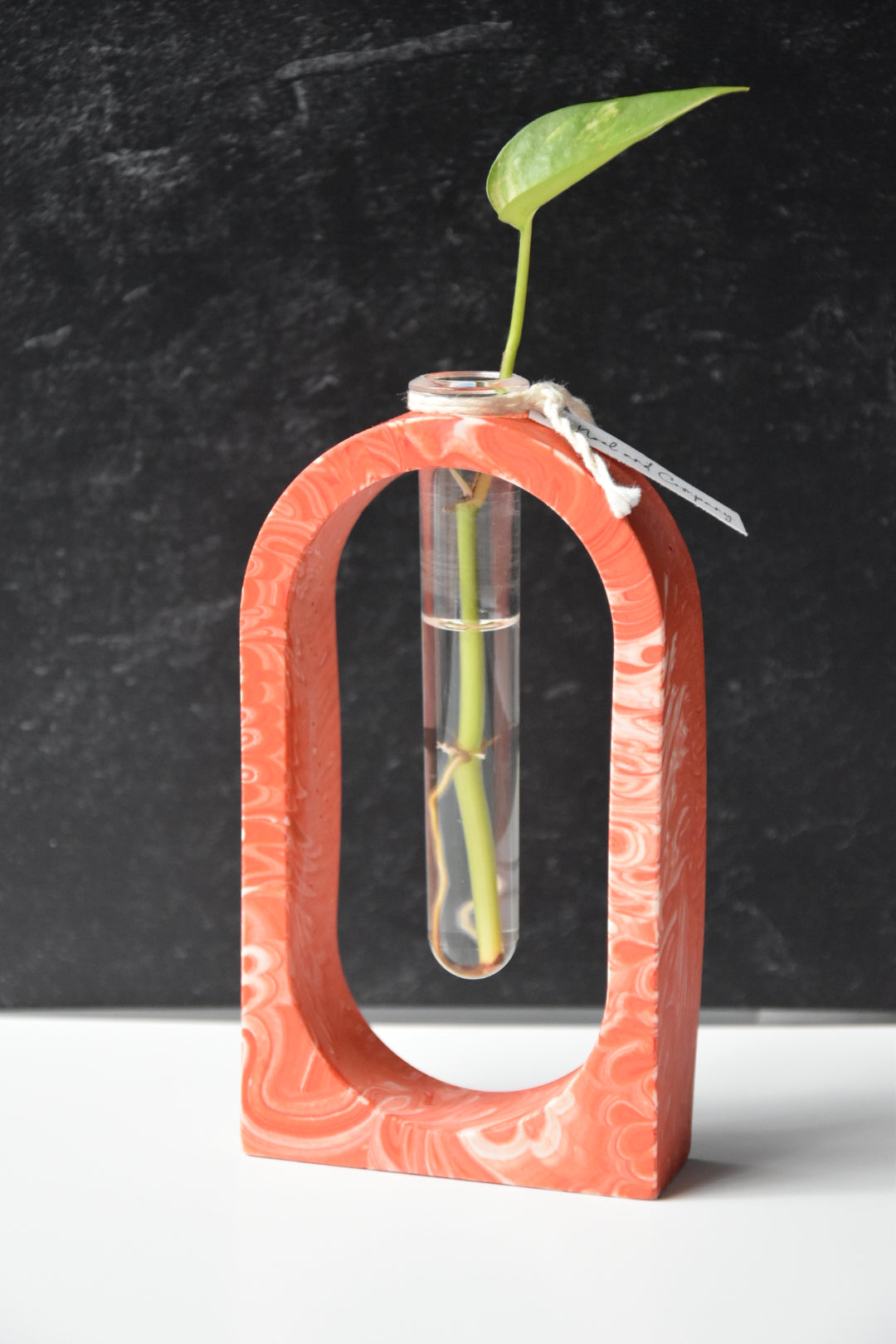 Propagation Stations