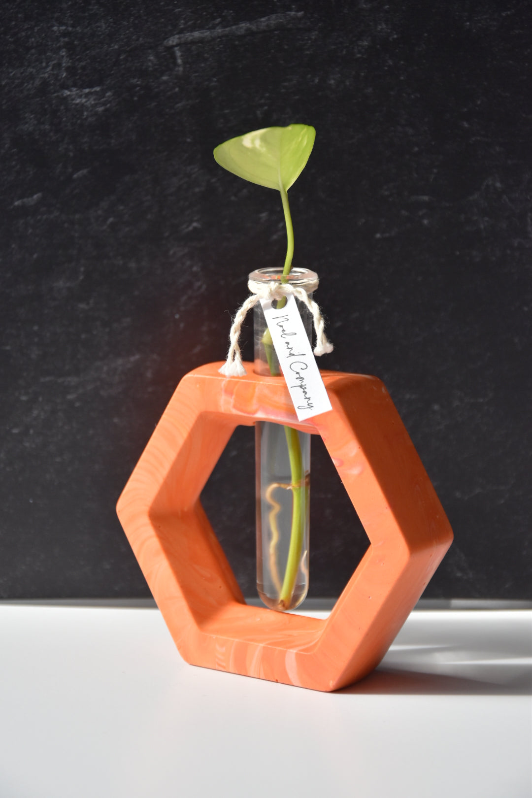 Propagation Stations