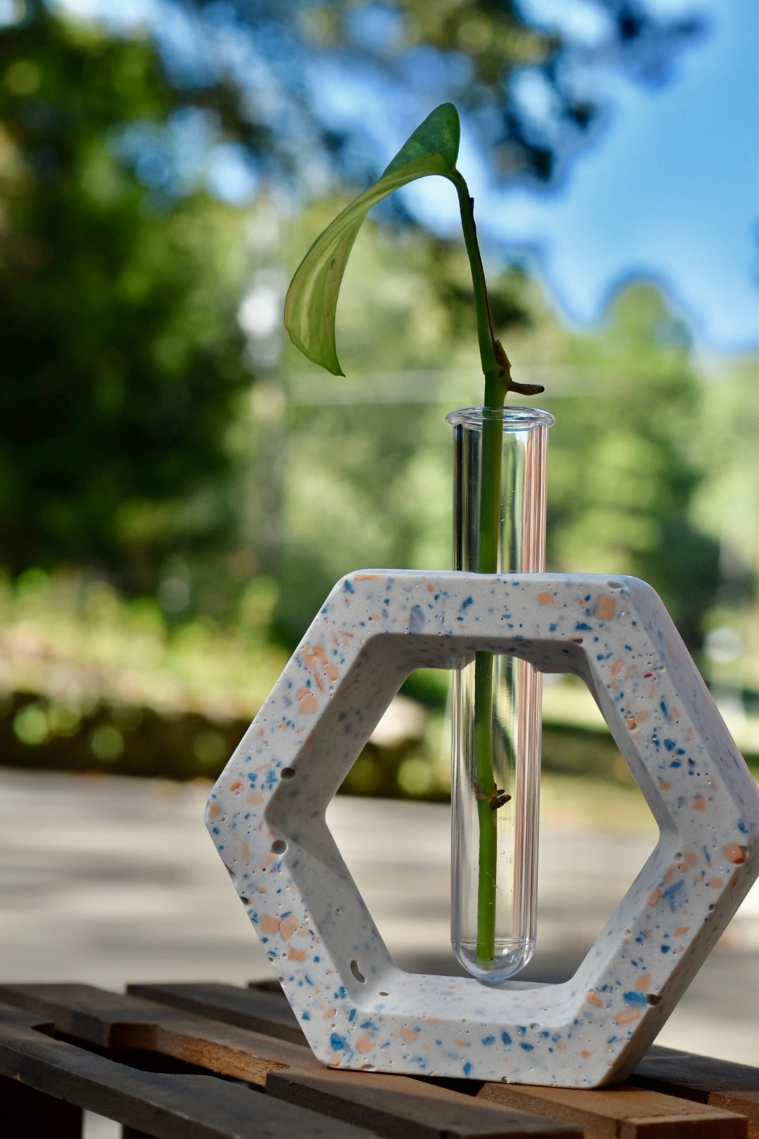 Propagation Stations