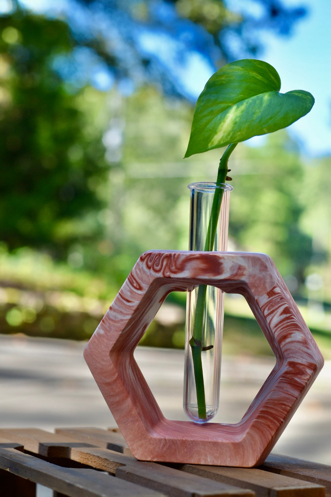 Propagation Stations