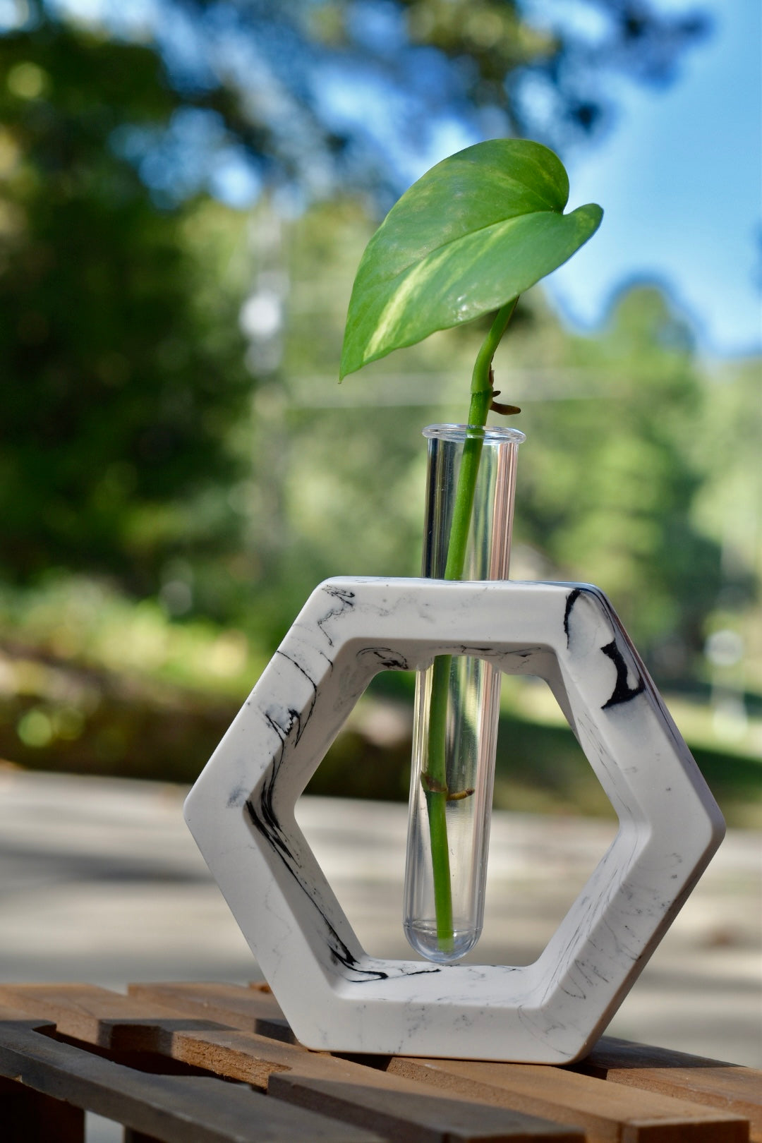 Propagation Stations