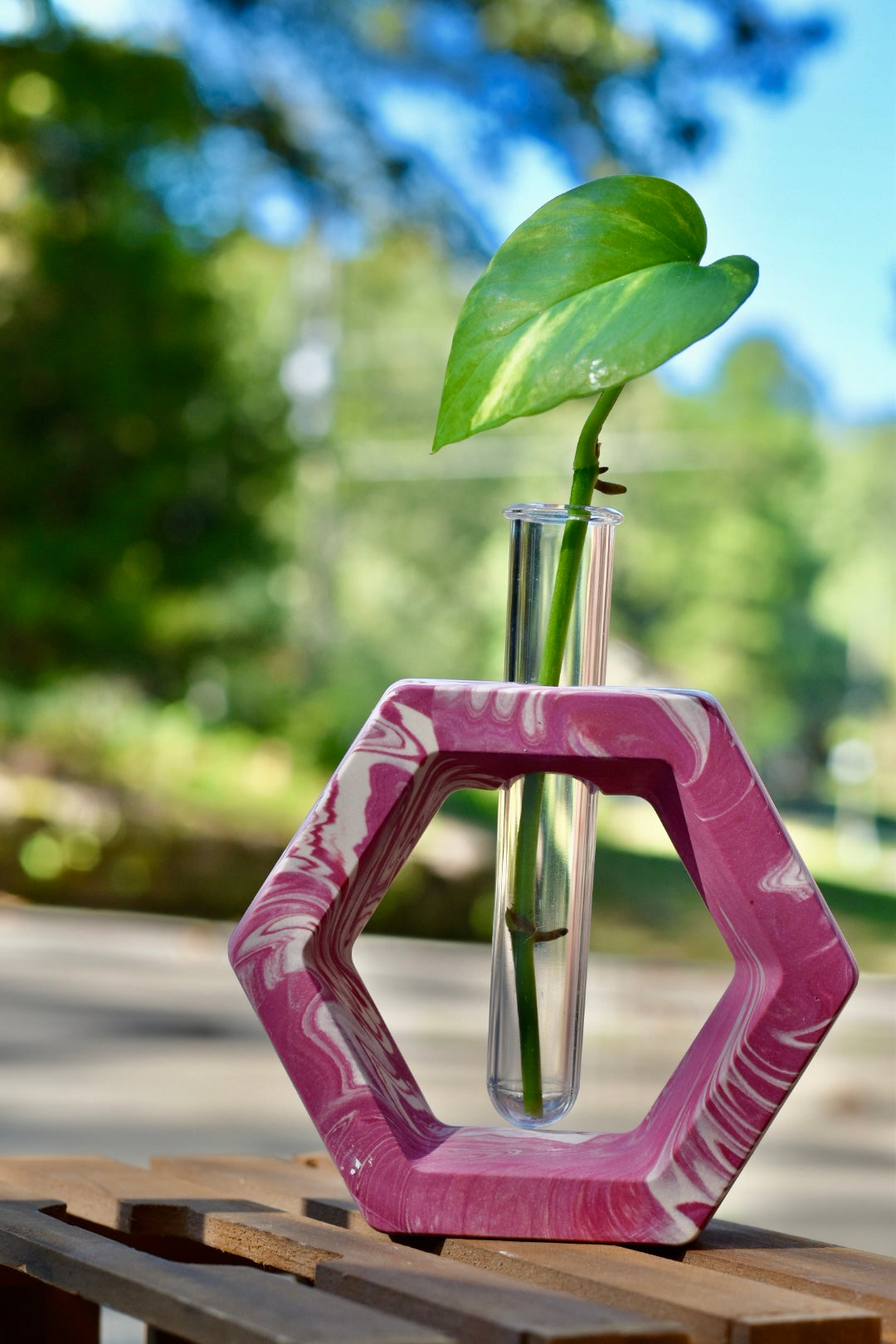 Propagation Stations