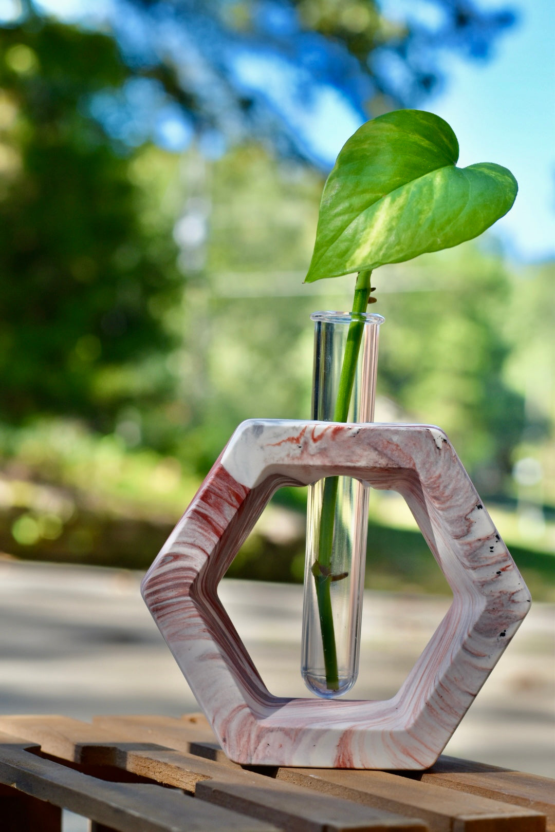 Propagation Stations