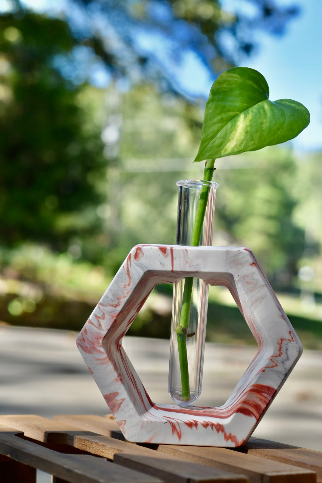 Propagation Stations