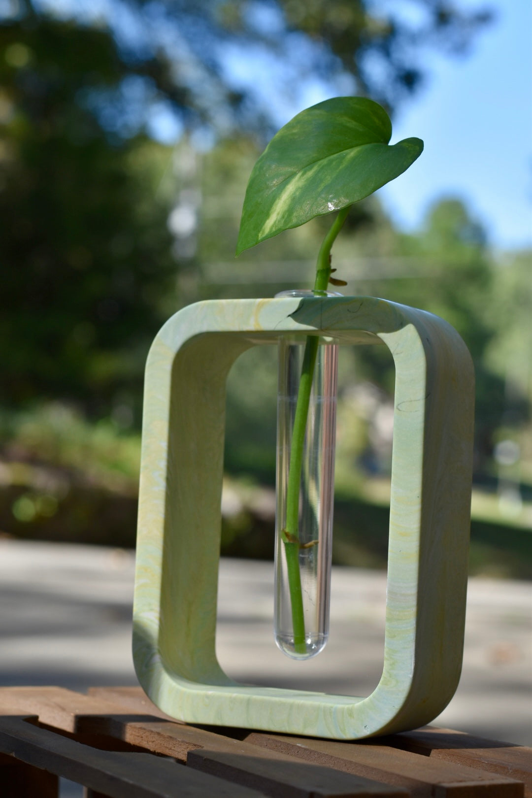 Propagation Stations