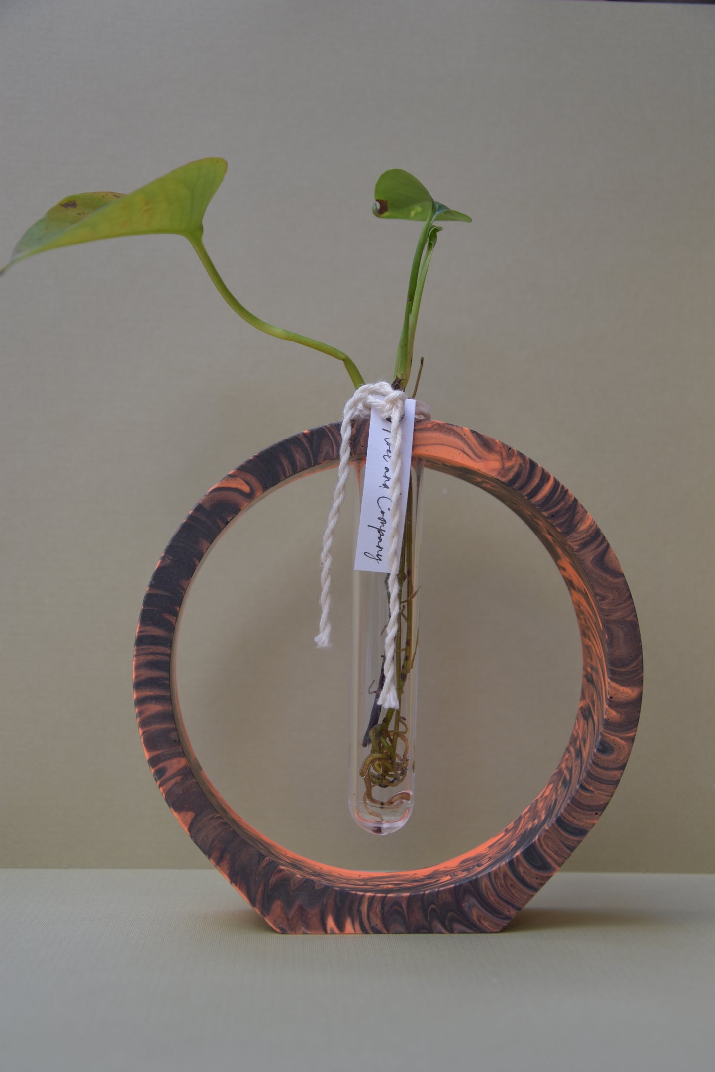 Propagation Stations