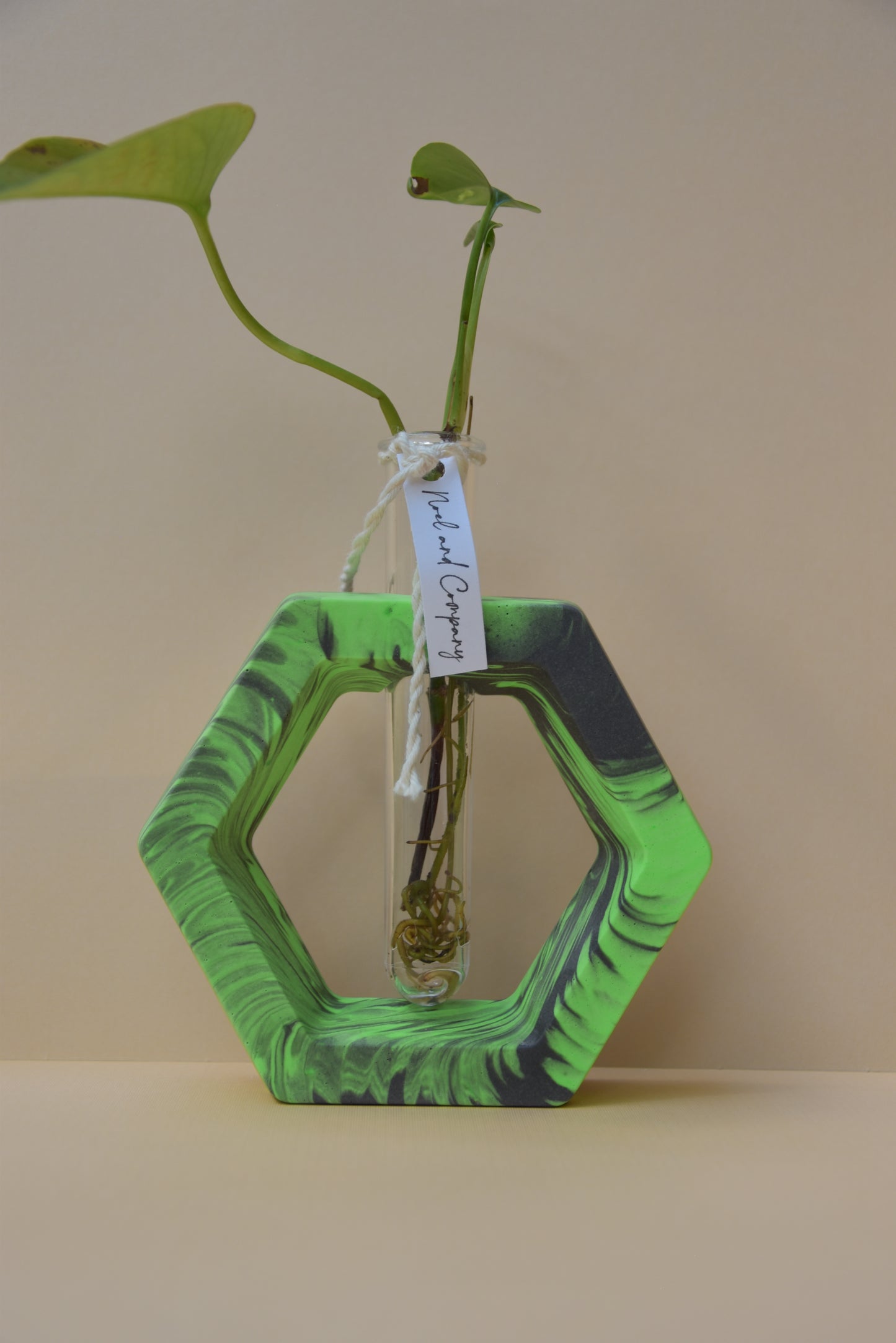 Propagation Stations