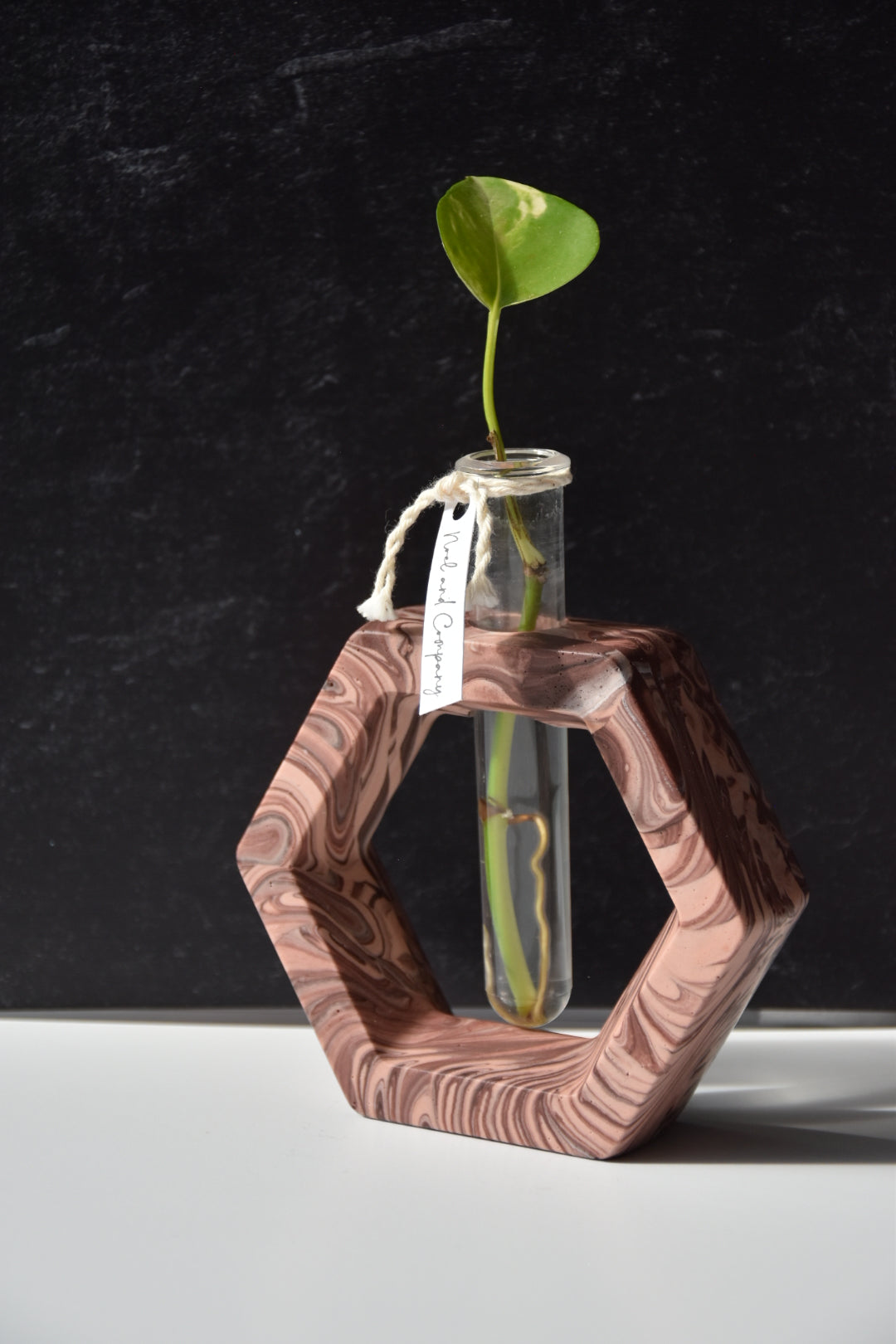 Propagation Stations