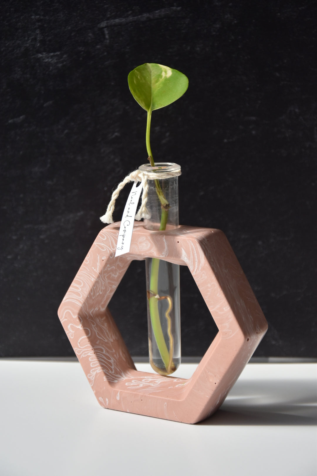 Propagation Stations