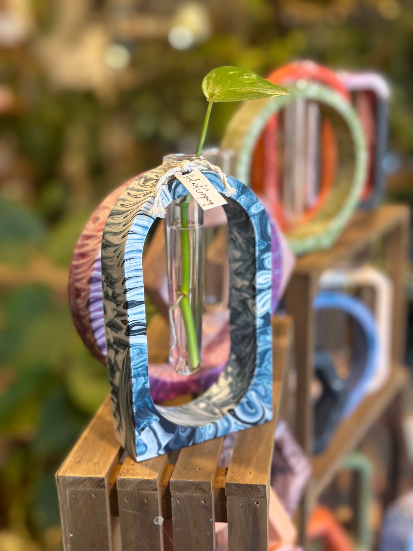 Circle Coaster