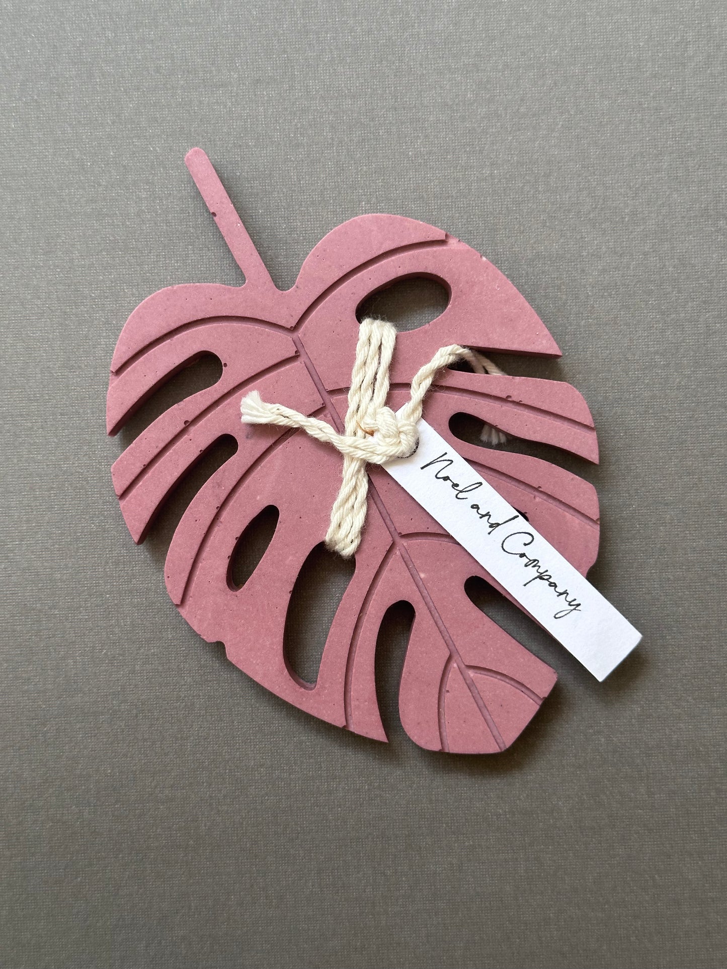 Mini Monstera Coaster