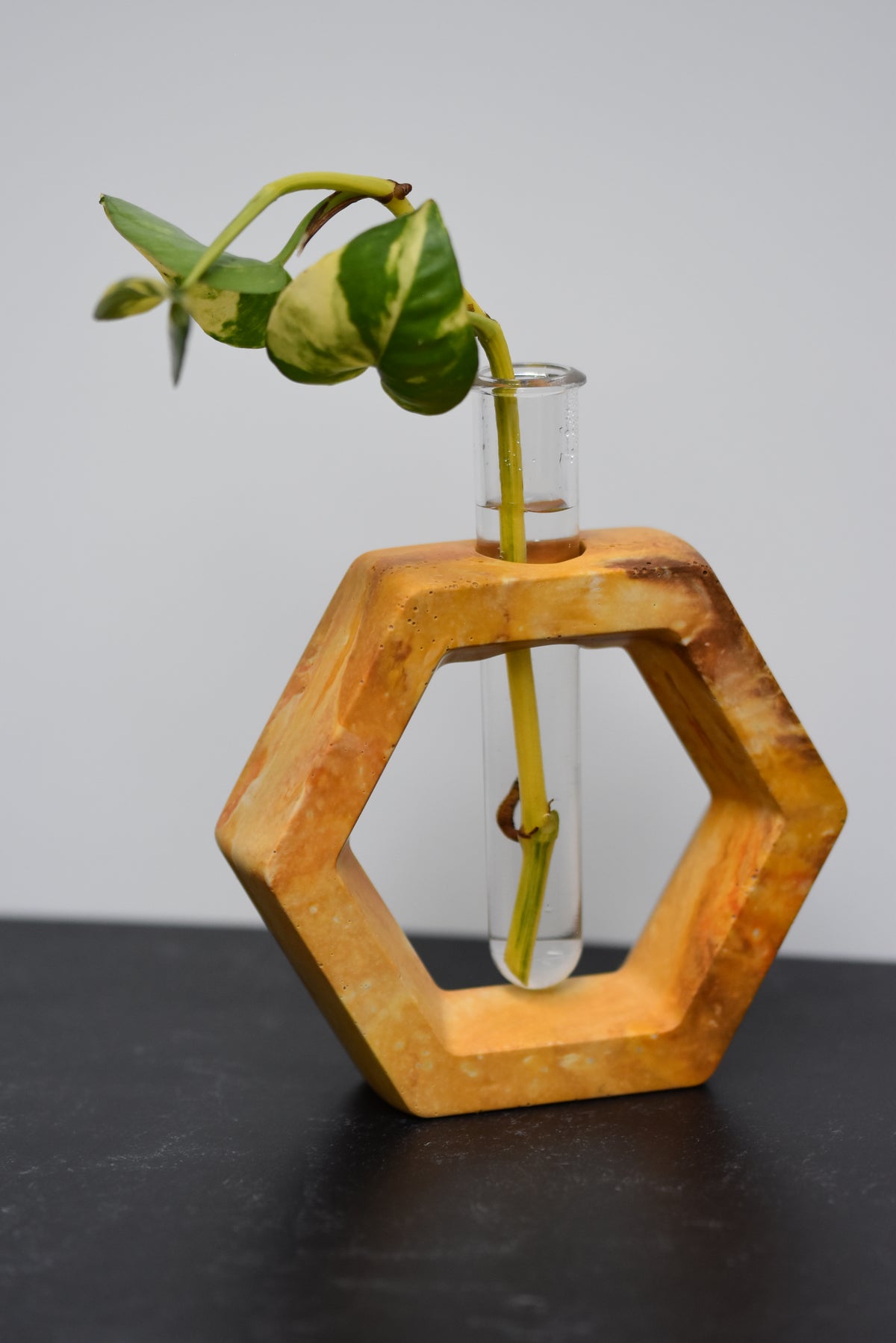 Propagation Stations