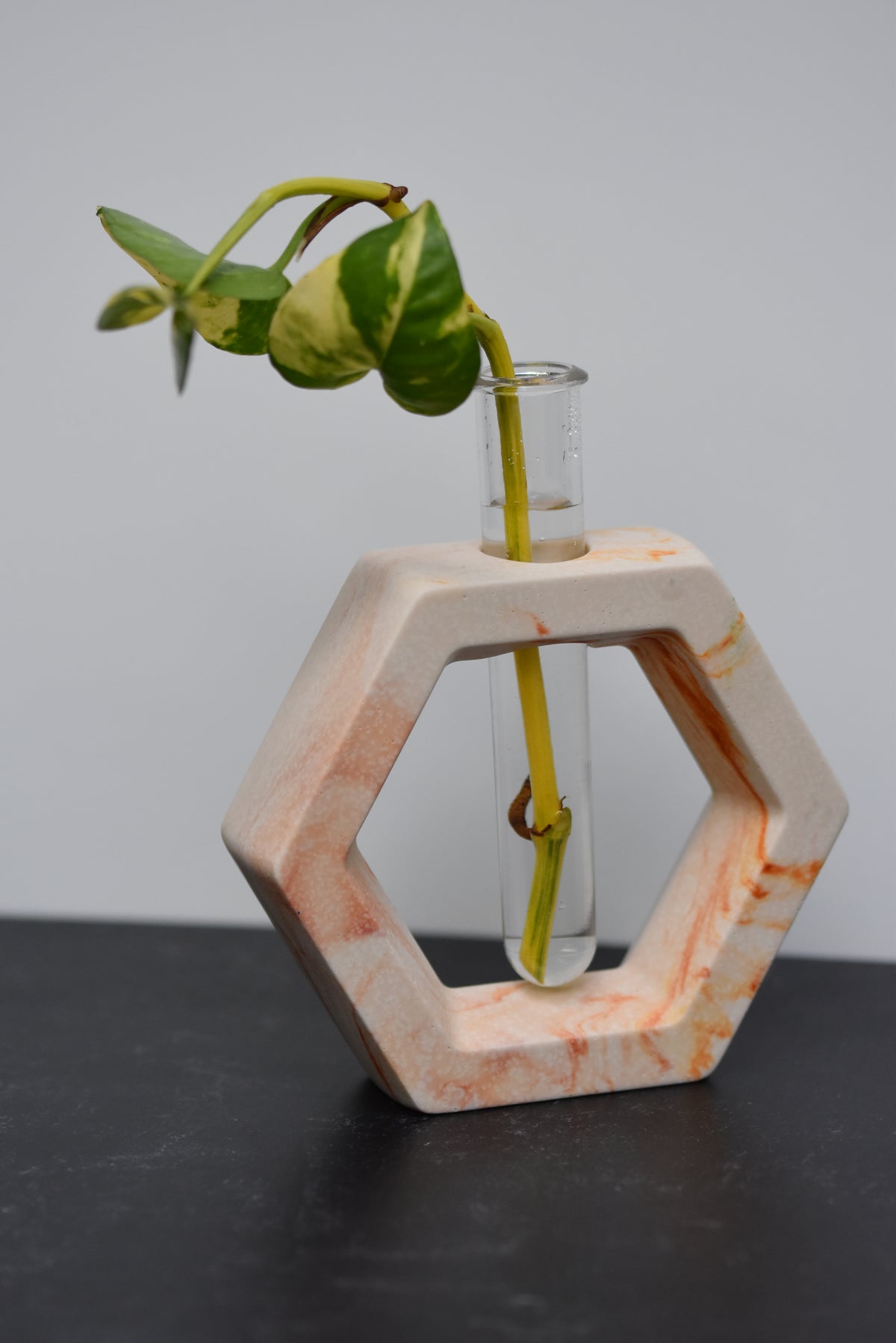 Propagation Stations